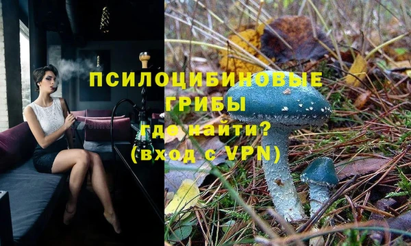 прущий лед Алексеевка