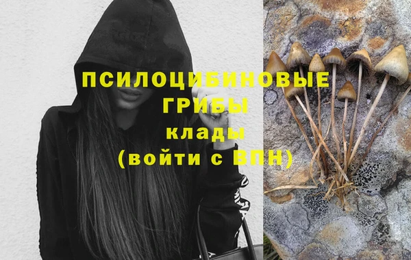 прущий лед Алексеевка