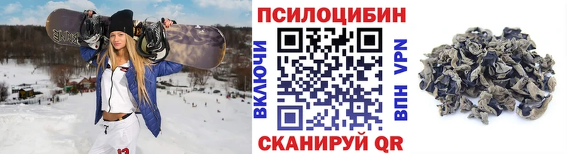 Псилоцибиновые грибы Cubensis  Санкт-Петербург 
