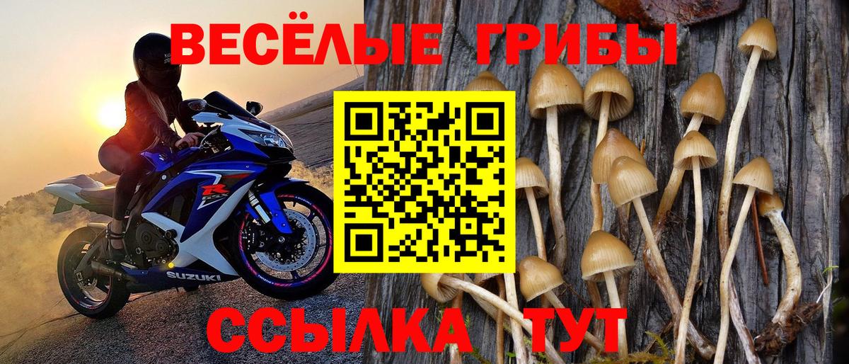 Санкт-Петербург  Галлюциногенные грибы мухоморы  Вход с VPN 